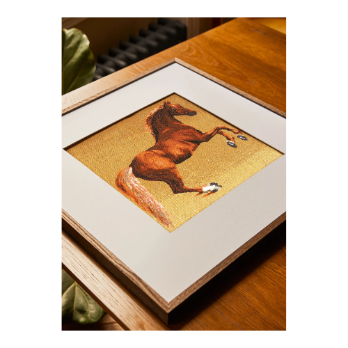 Набор "Лошадь" DMC BL 1115-71