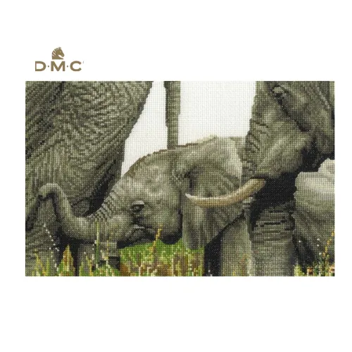 Набор DMC